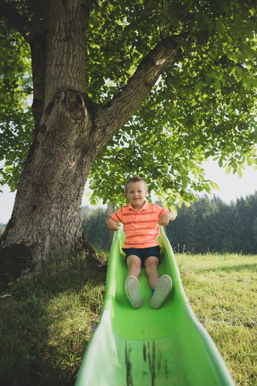 Drittlhof Διαμέρισμα Hopfgarten im Brixental Εξωτερικό φωτογραφία